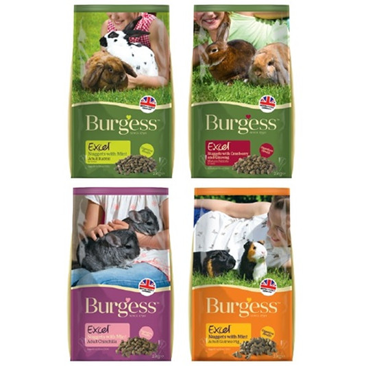 Burgess